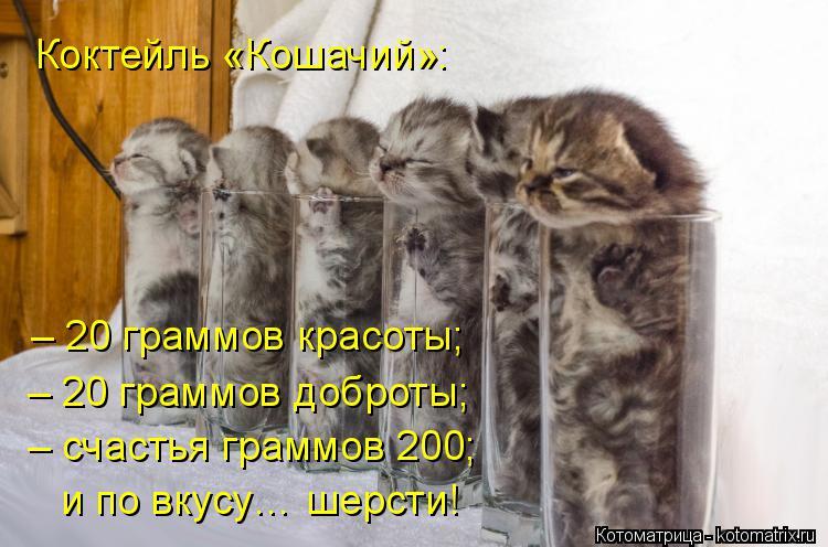 Картинки с котятами и надписями