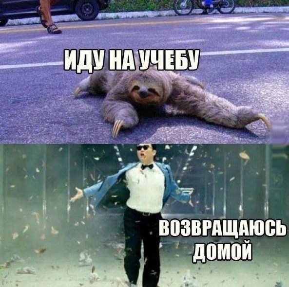 Открытки, приколы про учебу картинки