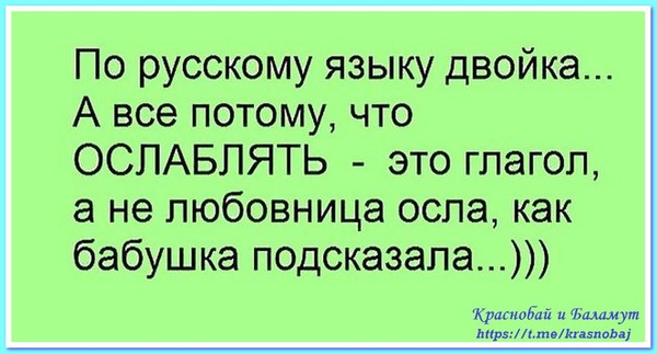 Краснобай и Баламут
https://t.me/krasnobaj 
@krasnobaj
#КраснобайиБаламут #Краснобай #Баламут
