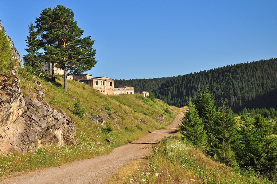 Кусье александровский фото