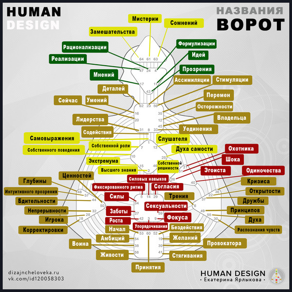 Человеческий дизайн расшифровка