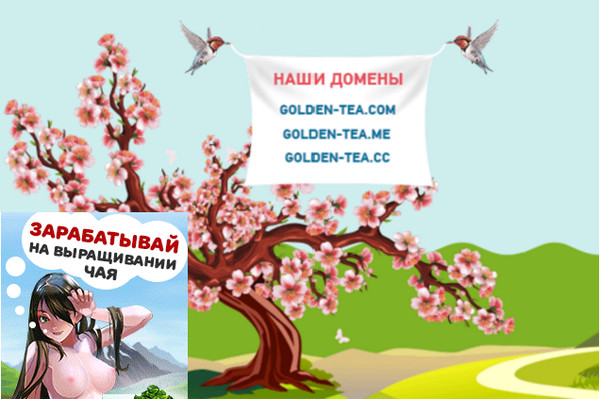 Зарабатывай играя!!!
https://golden-tea.me/?ref=853399