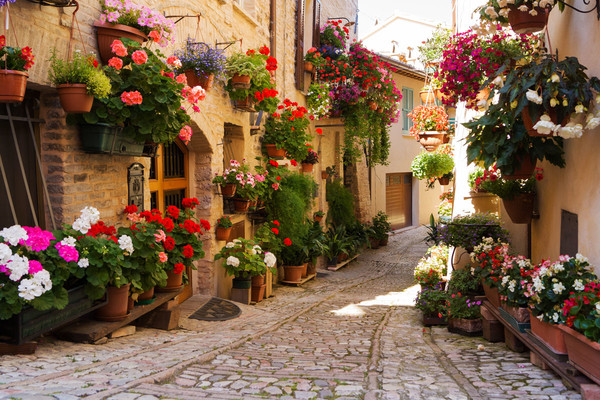 Цветочный город Спелло (Spello), Италия.
💥💥💥
📌 Спелло – город в Италии, в регионе Умбрия, расположенный у подножия горы Субазио недалеко от Перуджи

#Спелло #Италия #Italia #italy🇮🇹 #italy_vacations