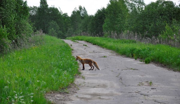 Живем как в Живом уголке...жаль не все успеваем снять