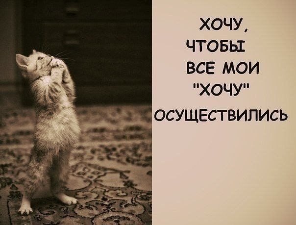 Картинки со словом хочу, лаванда