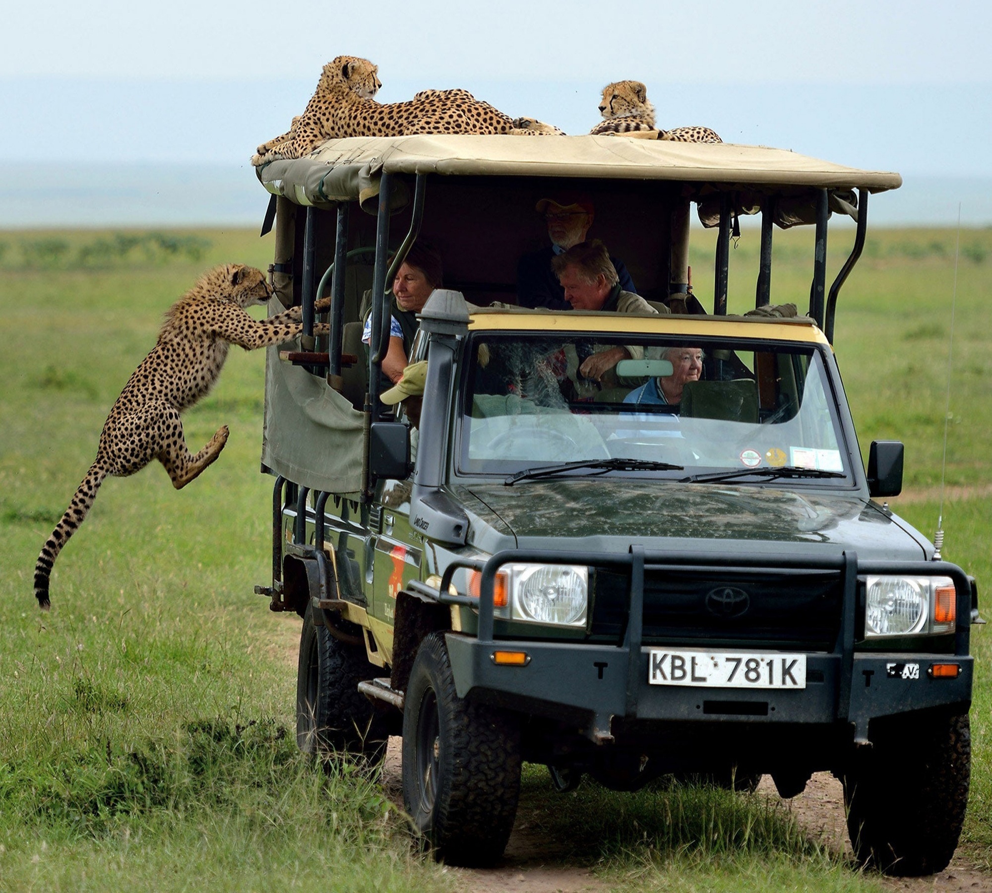 Escort South Africa