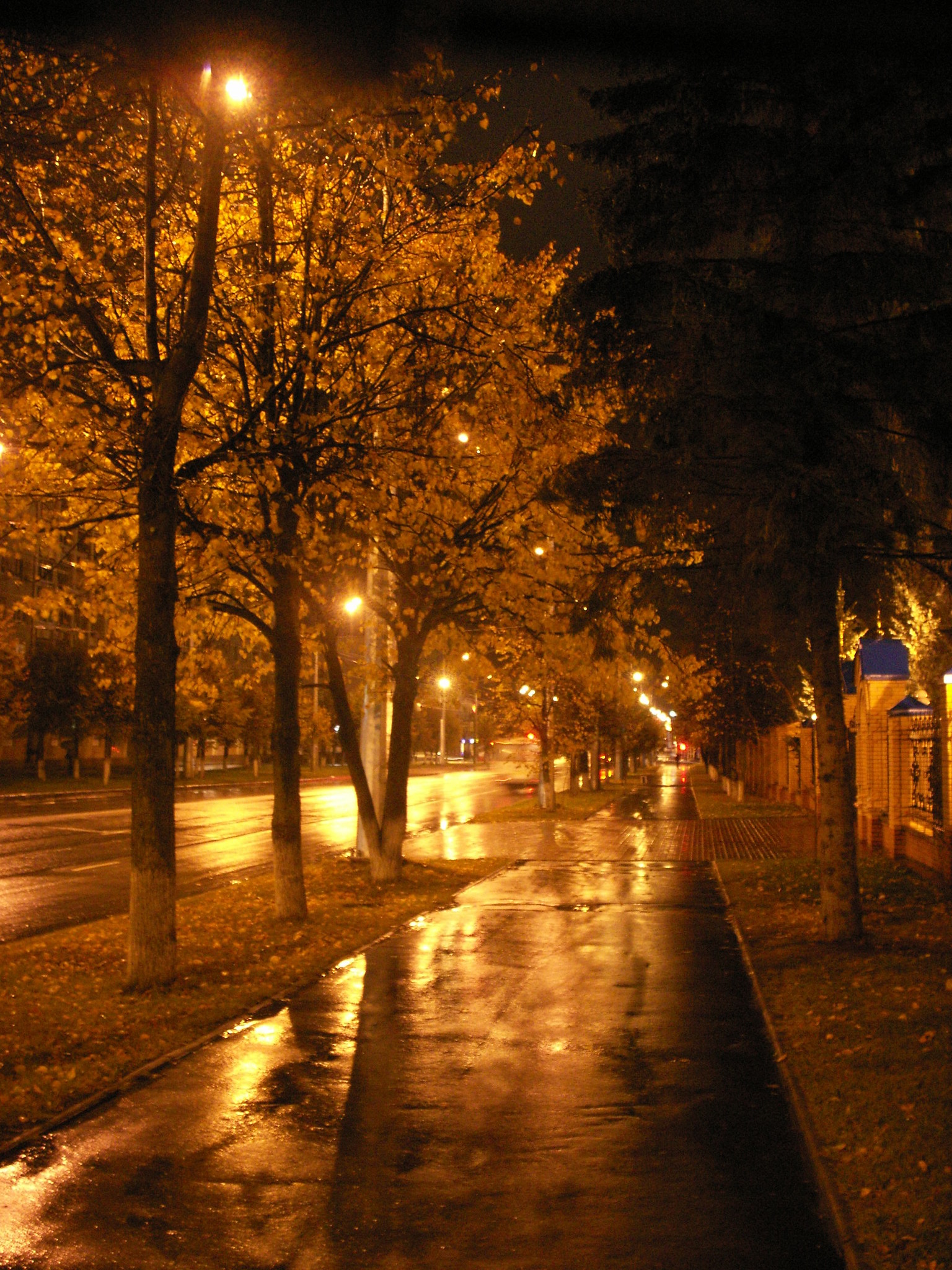 Ночной Смоленск осень